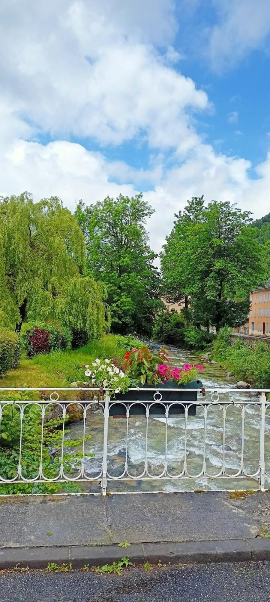 La Marmotte Appartement T2 Classe 3 Etoiles Aulus-les-Bains Buitenkant foto